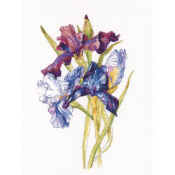 Cross-Stitch Kit "Irises rainbow" M580