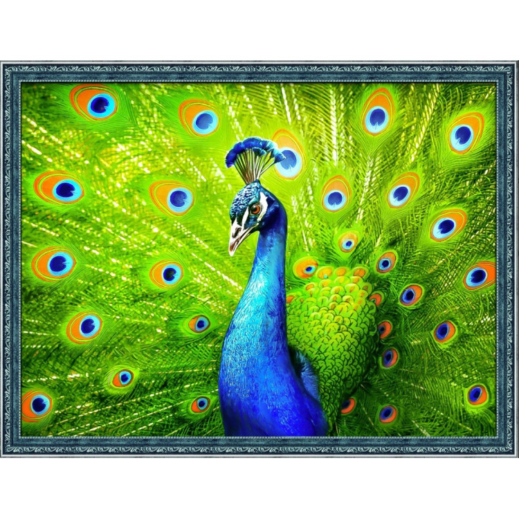 Deimantų tapybos rinkinys Beautiful Peacock 40x30 cm AM1801