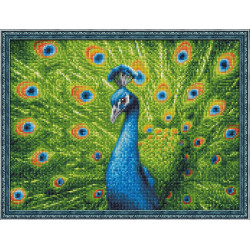 Deimantų tapybos rinkinys Beautiful Peacock 40x30 cm AM1801