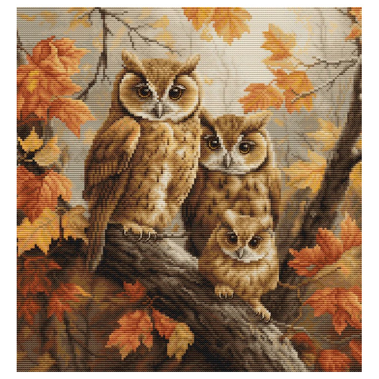 Counted Cross Stitch Kit "The Owls Family" 27x29cm SBU5045