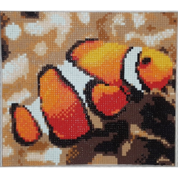 Diamond Painting kit "Clown Fish" 20х18 cm AM1061