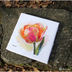 Parrot Tulip 21x21 SK248