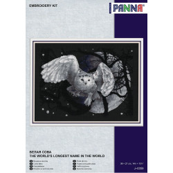 Cross stitch kit PANNA "White owl" PJ-0359