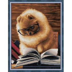 Reading Pomeranian 30x40 cm AZ-1831