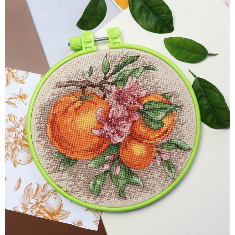 Cross-stitch kits with Hoop Included Citrus notes 17x17 cm Abris Art AAHM-076