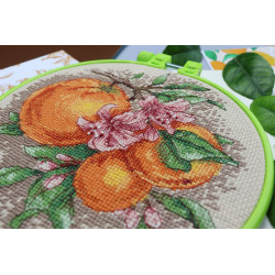 Cross-stitch kits with Hoop Included Citrus notes 17x17 cm Abris Art AAHM-076