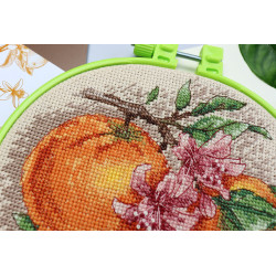 Cross-stitch kits with Hoop Included Citrus notes 17x17 cm Abris Art AAHM-076