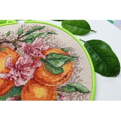 Cross-stitch kits with Hoop Included Citrus notes 17x17 cm Abris Art AAHM-076