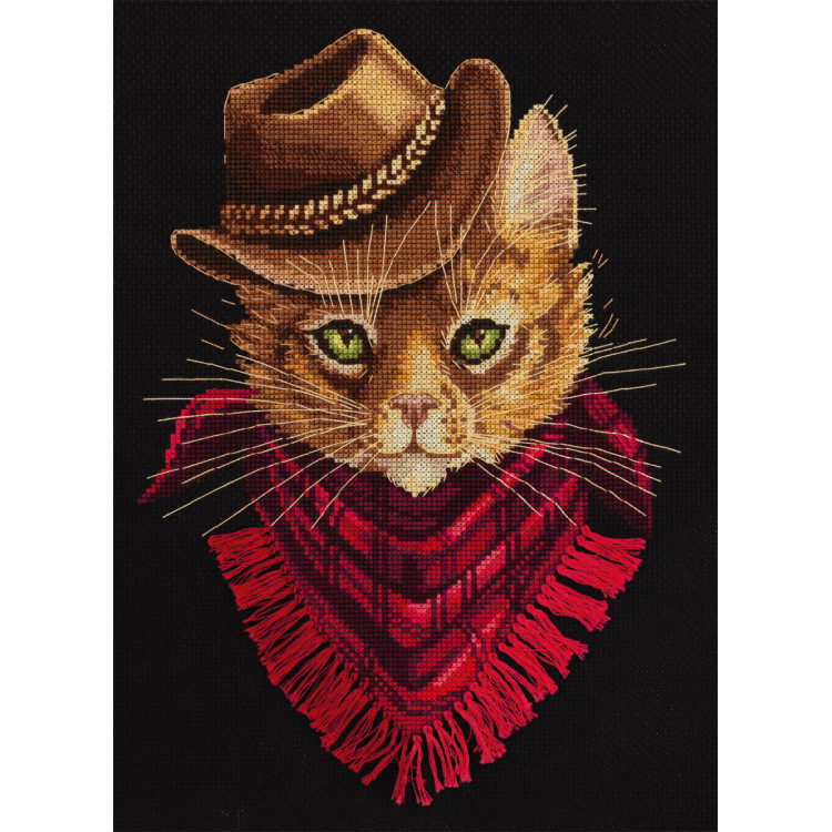 Cross stitch kit PANNA "Tom. Outlaw" PJ-7173