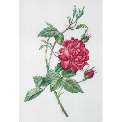 Cross stitch kit KLART "Botany. Rose" KL8-531