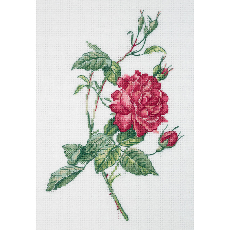 Набор для вышивки крестом "Ботаника. Роза" KL8-531