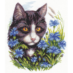 Kreuzstichset „Katze in Kornblumen“ KL8-110