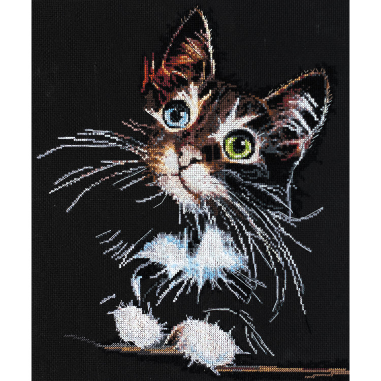 Cross-stitch kit Fluffy kitten 30x35 cm AAH-062