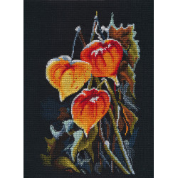 Kreuzstichset „Physalis auf Schwarz“ S1617