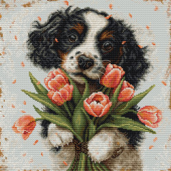 Der Cocker Spaniel Welpe 27x27cm SBU5067