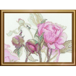 Cross stitch kit - Aine collection "Peonies. Delight" 18x15 cm SRA1009