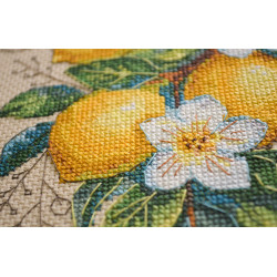 Cross-stitch kits Lemon mood (Deco Scenes) 14x21 cm AAH-246