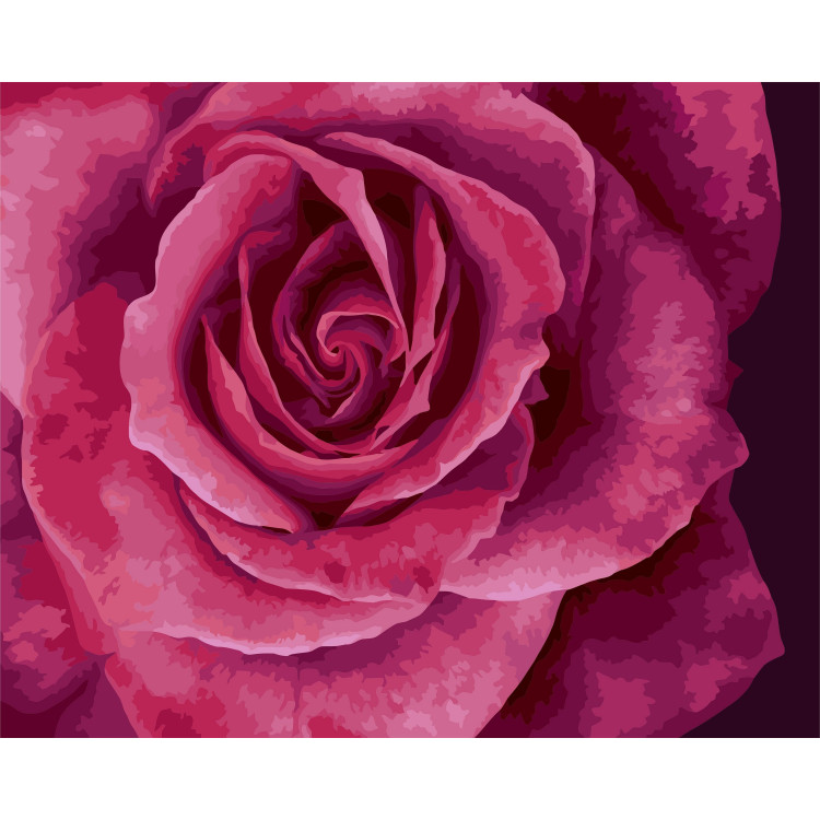 Painting by numbers kit. B114 Lovely rose 40*50