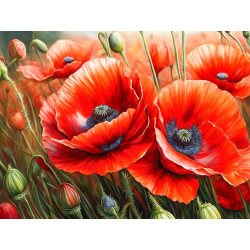 Diamond Painting Kit „Mohnblumen“ 40x30 cm WD3204