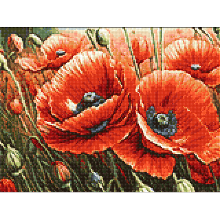 Diamond Painting Kit „Mohnblumen“ 40x30 cm WD3204