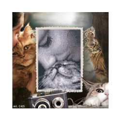 Cross-stitch kits "Admirers" RTOC425