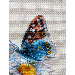 Cross stitch kit Fragile Beauty 15x15 SR2220