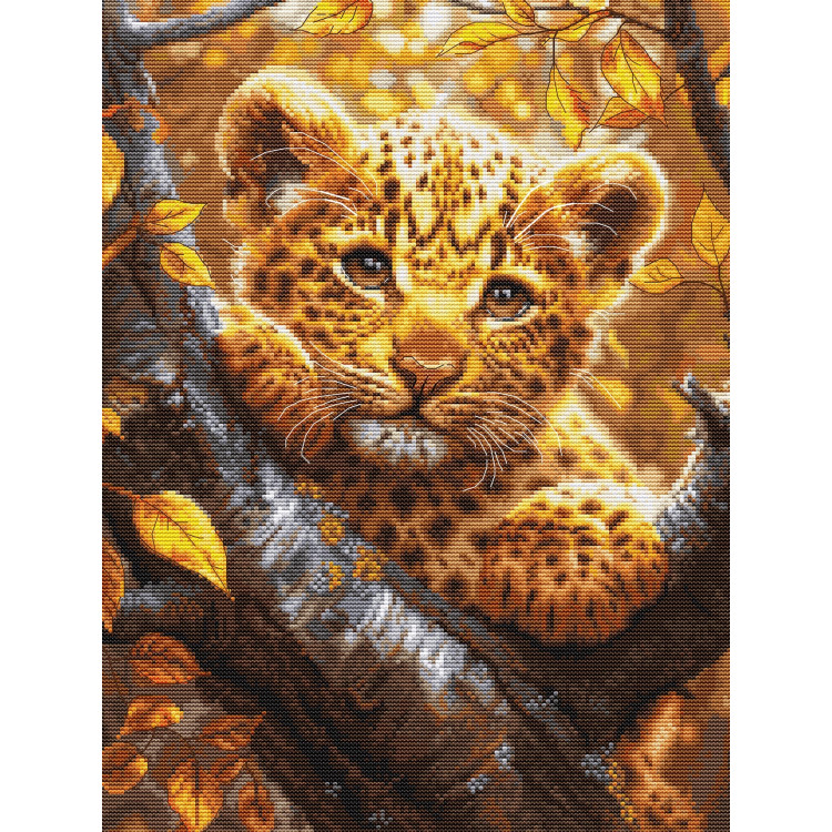 Leopardenjunges bei Sonnenaufgang 25x34cm SBU5068