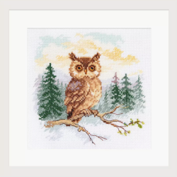 Cross stitch kit "Tales of the forest. Owl" S0-242