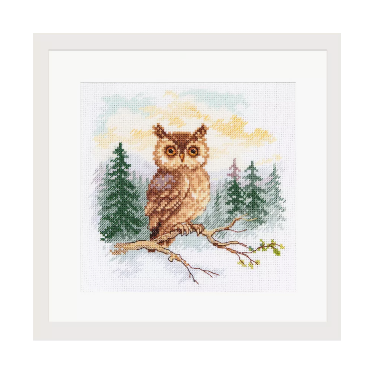 Cross stitch kit "Tales of the forest. Owl" S0-242