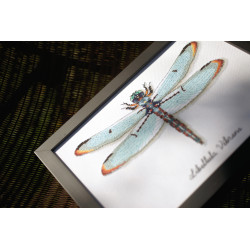 Cross stitch kit LMV Dragonfly 27x19 cm PN/0165453