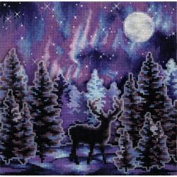 Cross stitch kit PANNA "Starry night" PPS-7413