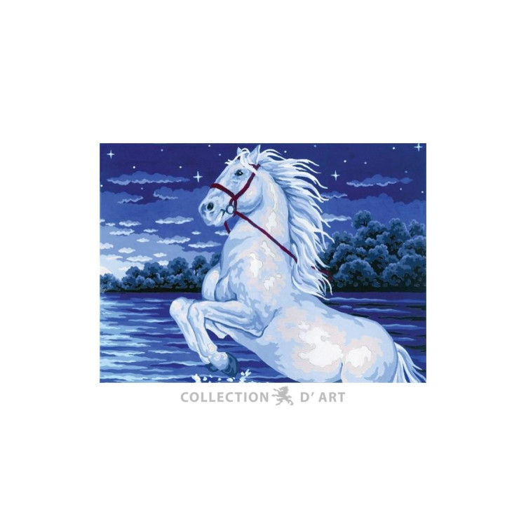 Cross stitch kit Printed tapestry canvas CDA10363