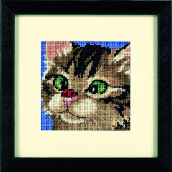 Cross-Eyed Kitty D07206
