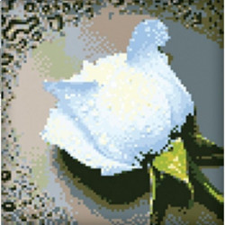 AUSVERKAUF (Eingestellt) Diamant-Malerei-Set Weiße Rose 22 x 24 cm AZ-24