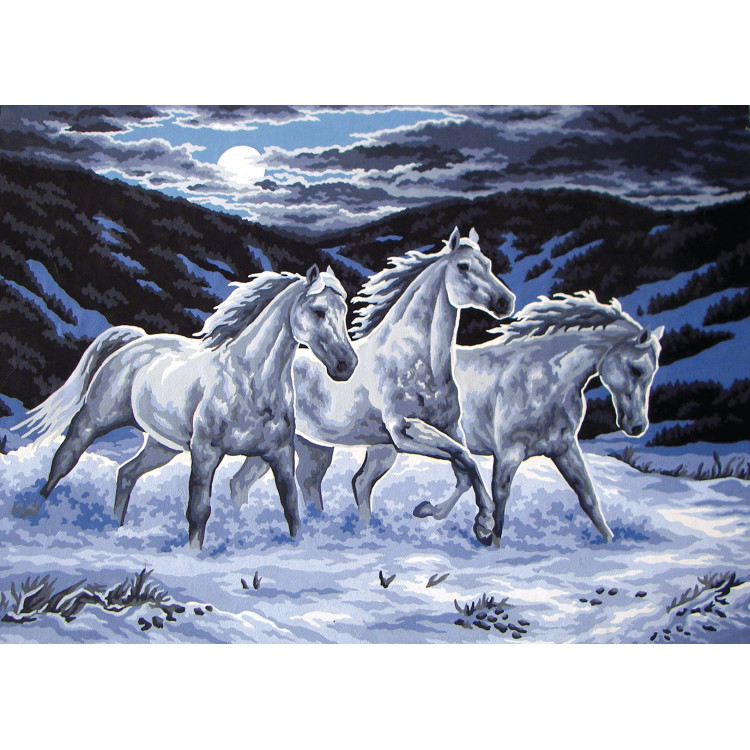 Printed Canvas 50x70 Trio in the Moonlight CDA12975
