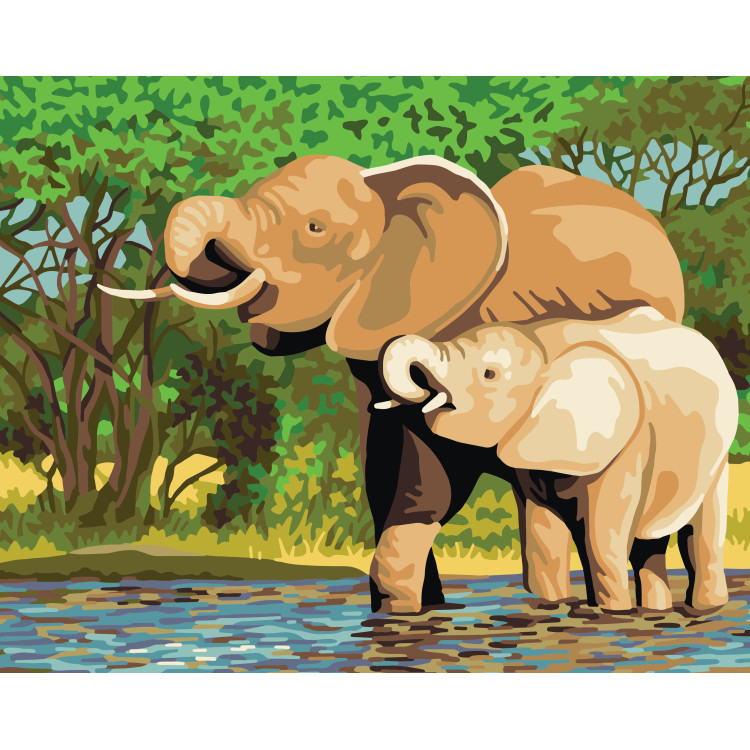 Printed Canvas 50x40 Elephants CDA11878