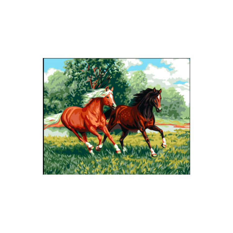Printed Canvas 50x40 Wild horses CDA11881
