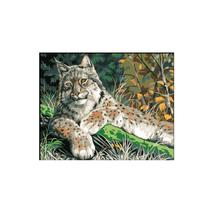 Gedruckte Leinwand 50x40 Luchs CDA11882