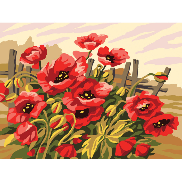 Spausdintas drobės 30x40 Aguonos CDA10487