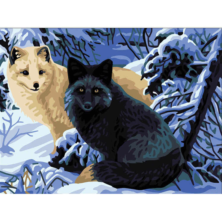 Spausdintas drobės 40x30 lapės CDA10514W