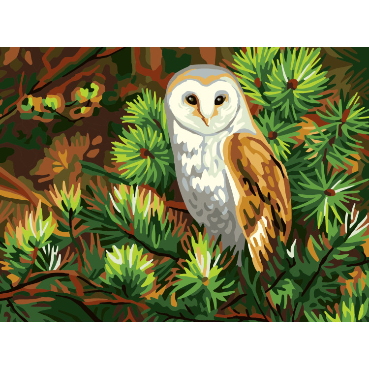 Printed Canvas 40x30 Owl CDA10518W