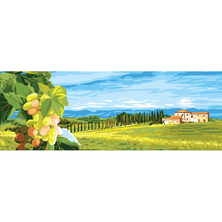 Printed Canvas 35x80 Grape CDA9009W