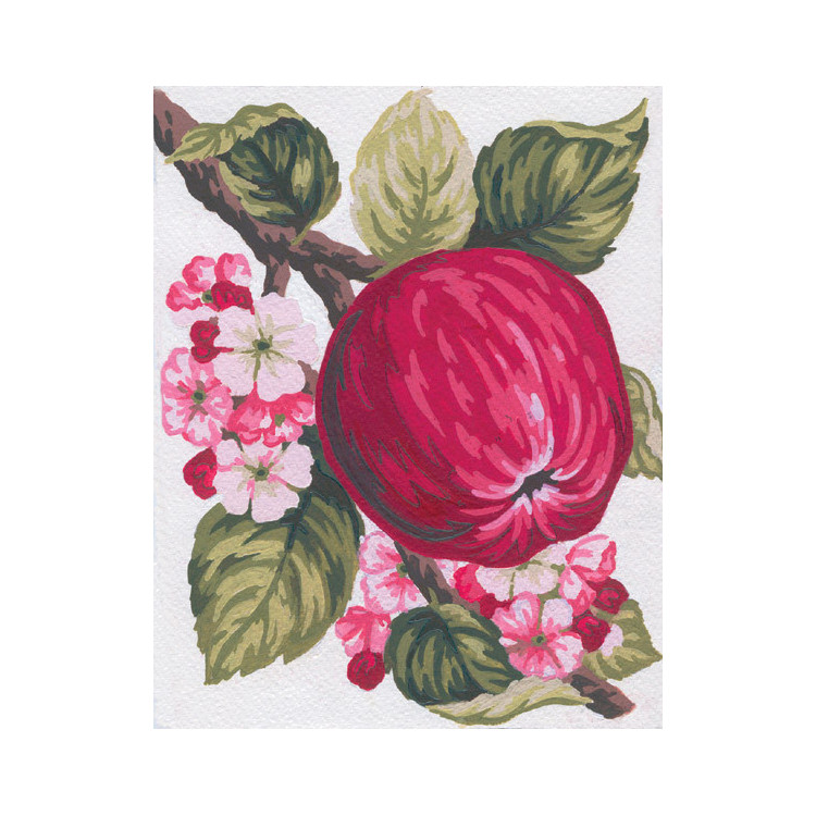 Spausdintas drobės paveikslas 14x18 Obuolys CDA3159