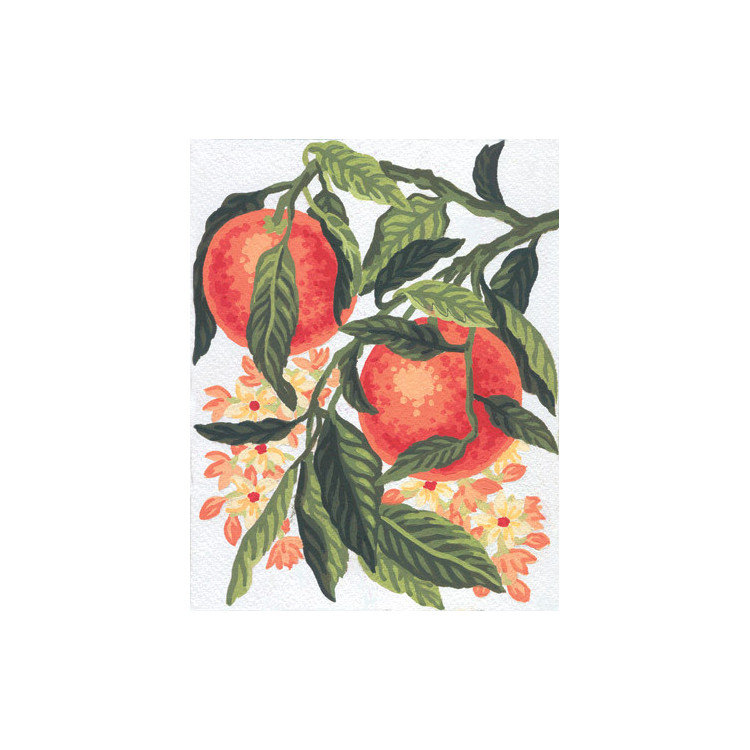 Печатный холст 14x18 Апельсины CDA3163