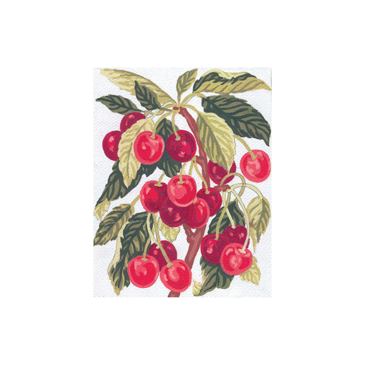 Spausdinta drobė 14x18 vyšnios CDA3164