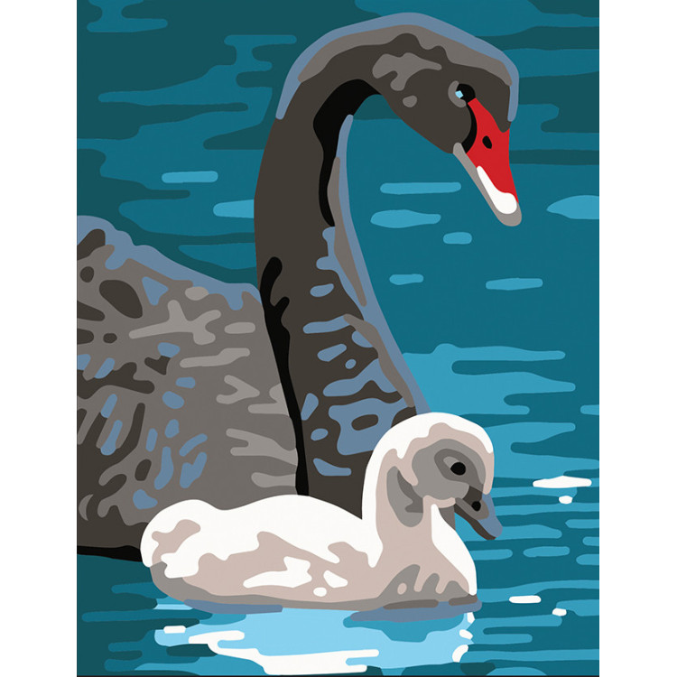 Spausdintas drobės 14x18 Gulbės CDA3343