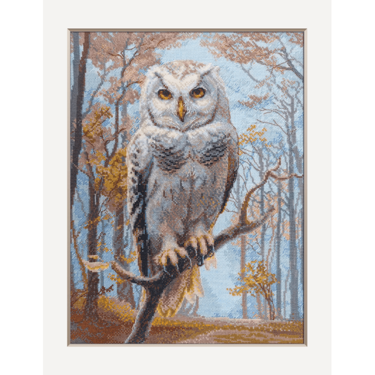 Kryželio rinkinys "Wildwood Owl" 30x40 cm SRA1016