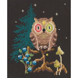 Cross-stitch kit RTOC436