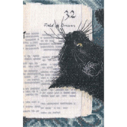 Siuvinėjimo kryželiu rinkinys RTOC424