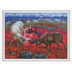 Cross-stitch kit RTOM1014